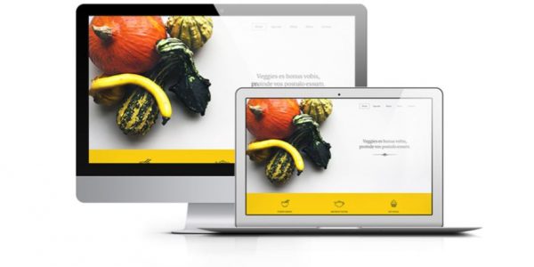فایل لایه باز قالب رستورانی Veggie One Page PSD Template طراحی سایت | افزایش رتبه سایت در گوگل | خرید پوسته های وردپرس