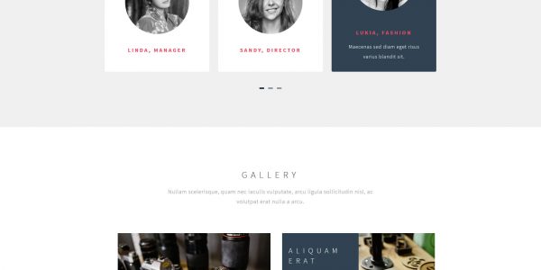 قالب زیبای شرکتی Snapshot - طراحی سایت